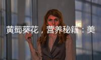黃蜀葵花，營養(yǎng)秘籍：美麗肌膚的魔法草