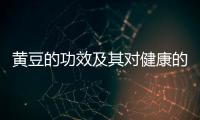 黃豆的功效及其對健康的影響