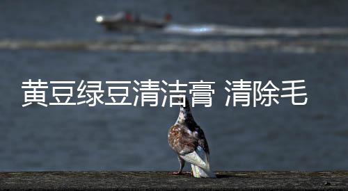 黃豆綠豆清潔膏 清除毛孔污垢預(yù)防痘瘡發(fā)生