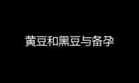 黃豆和黑豆與備孕