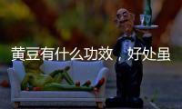 黃豆有什么功效，好處雖多，但不能和這五物一起吃，影響吸收