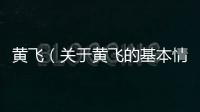 黃飛（關于黃飛的基本情況說明介紹）