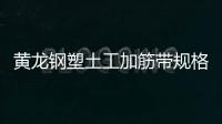 黃龍鋼塑土工加筋帶規格