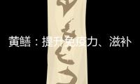 黃鱔：提升免疫力、滋補身體的神奇食材！