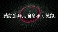 黃鼠狼拜月啥意思（黃鼠狼拜月例子）