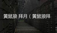 黃鼠狼 拜月（黃鼠狼拜月例子）