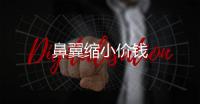 鼻翼縮小價錢