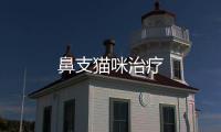 鼻支貓咪治療
