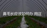 鼻毛長應該如何辦 用這些方法和技巧修剪鼻毛效果好