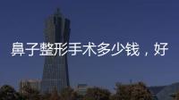 鼻子整形手術多少錢，好不好