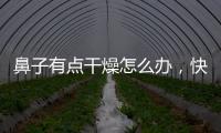鼻子有點干燥怎么辦，快來試一下這些干燥的妙招