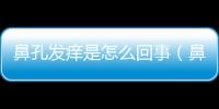 鼻孔發癢是怎么回事（鼻孔癢是怎么回事）