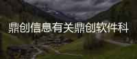 鼎創信息有關鼎創軟件科技公司地址查詢的詳細內容