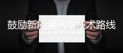 鼓勵新能源汽車技術(shù)路線“百花齊放”