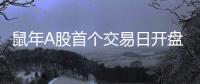 鼠年A股首個交易日開盤，滬指跌8.73%