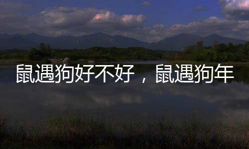 鼠遇狗好不好，鼠遇狗年的運程
