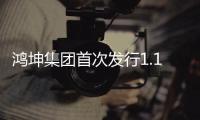 鴻坤集團首次發行1.1億美元境外公募債券