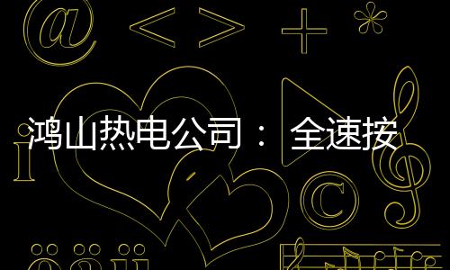 鴻山熱電公司： 全速按下臺(tái)風(fēng)過(guò)后 “恢復(fù)鍵”