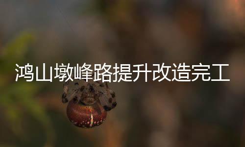 鴻山墩峰路提升改造完工