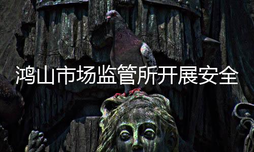 鴻山市場監管所開展安全用藥月宣傳