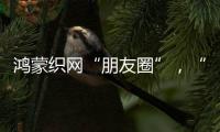 鴻蒙織網“朋友圈”，“這是決定生死的一戰”