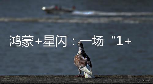 鴻蒙+星閃：一場“1+1＞2”的音頻蝶變