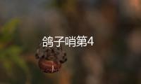鴿子哨第4