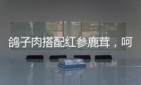 鴿子肉搭配紅參鹿茸，呵護身體，滋養(yǎng)心靈