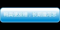 鴨糞便發糟，長期腹瀉怎么辦？
