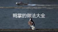 鴨掌的做法大全