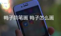 鴨子簡筆畫 鴨子怎么畫