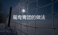 鴛鴦青團的做法