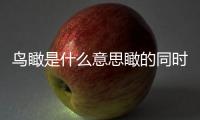鳥瞰是什么意思瞰的同時(shí)音字（鳥瞰是什么意思）