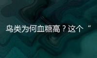 鳥類為何血糖高？這個“開關(guān)”不一樣—新聞—科學(xué)網(wǎng)