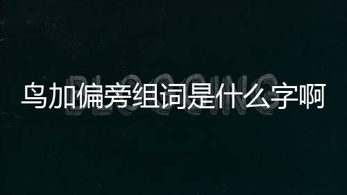 鳥加偏旁組詞是什么字啊（鳥加偏旁組詞）