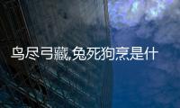 鳥盡弓藏,兔死狗烹是什么意思（兔死狗烹是什么意思）