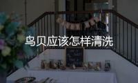 鳥貝應該怎樣清洗