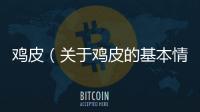雞皮（關(guān)于雞皮的基本情況說明介紹）