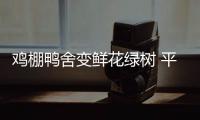雞棚鴨舍變鮮花綠樹 平潭東門社區(qū)綠化改造基本完成