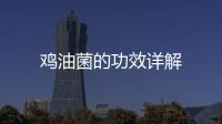 雞油菌的功效詳解