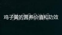 雞子黃的營養價值和功效,如何選擇優質的雞子黃