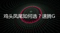 雞頭鳳尾如何選？速騰GLI對比入門級邁騰