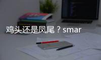 雞頭還是鳳尾？smart精靈#1和ID.3怎么選