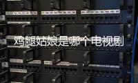 雞腿姑娘是哪個(gè)電視劇