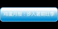 雞蛋月報：步入暑期旺季，關注8月雞蛋高點