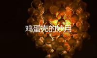 雞蛋殼的妙用