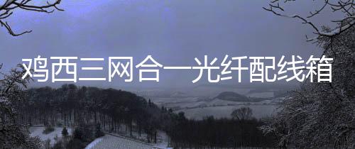 雞西三網合一光纖配線箱【尺寸】