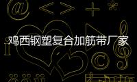雞西鋼塑復(fù)合加筋帶廠家電話