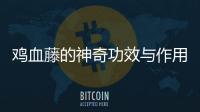 雞血藤的神奇功效與作用，詳解雞血藤的藥用價值
