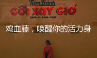 雞血藤，喚醒你的活力身心